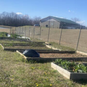 community garden