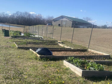 community garden