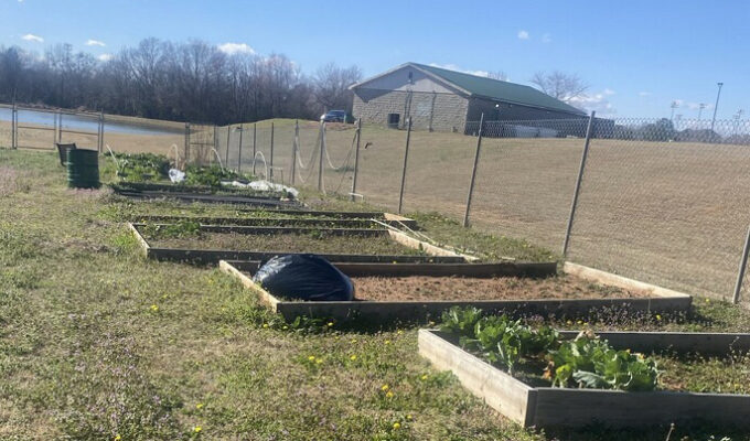 community garden