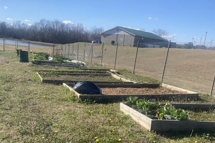 community garden